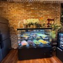 에스비 | 서울 동작구 웨딩홀 추천 더에스비웨딩컨벤션 홀 투어 계약 &amp; 시식후기