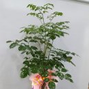 상품2리경로당 이미지