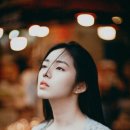 스타일펫츠 이미지