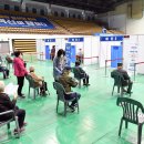 수원-1946 이미지