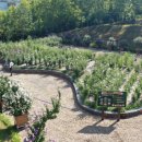 산림자원연구소 이미지