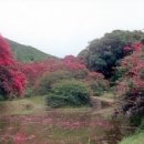 백세원 네이버블로그