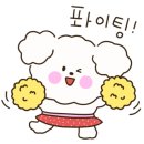 디스크 독 연구소 이미지