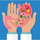 피티훈련소 이미지