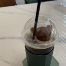 27 | L65 컨벤션홀 견적공유(27년상반기) | 실제 방문 후기