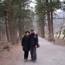 군산IC주유소 이미지
