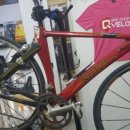 큐벨로(QVELO) 네이버블로그
