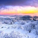 춘성할인마트 이미지