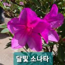 이목상용(二目上容) 이미지