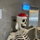 패디필드358 이미지