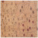 중앙동248 이미지