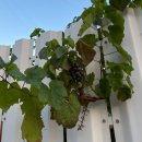 스테이증산 이미지