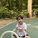 자연그리고사람 | 아이가 놀기 좋은 무릎높이의 계곡이 있는 장태산자연휴양림 주차 꿀팁 및 준비물 그리고 솔직후기