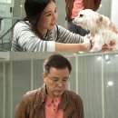 다은스포츠 이미지