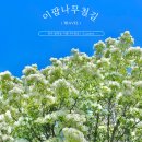 예술광장1로 이미지