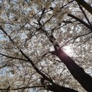 농업회사법인지리산장터목(주)