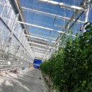 양덕수농장 이미지