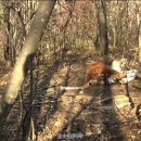 성마루농장 이미지