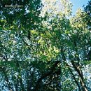 하루멍멍 이미지