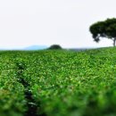 고기돌담집 이미지