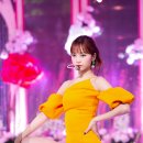 fiesta 이미지