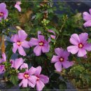 이동철농장 이미지