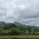 상주화서우체국 Daum카페