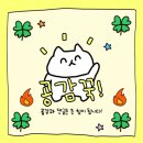진샤이 | 진샤이 방문후기