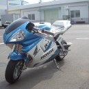 애니콜모터스 이미지