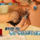 뚱슈헤나 이미지