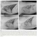 FM메디칼 이미지