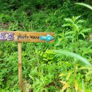 청옥산민박 이미지