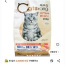 안녕하세요... 캣츠랑 드립니다. 이미지