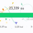 김수녕양궁장 트랙 이미지