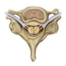 성모365신경외과의원 이미지