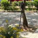 노니카페 이미지