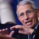 Life Director 이미지