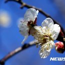 내일날씨 이미지