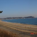 삼팔선의봄 이미지