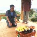 매정농장 이미지