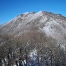 삼천포차 이미지