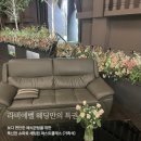 라비에벨 이미지