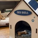 주식회사그린인테리어 이미지