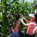 곡성-150 이미지