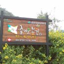 한초농장 네이버블로그