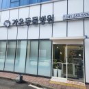 가온동물병원 | [천안 동물병원] 청당동 가온동물병원 강아지 경련&amp;발작 증상 내원 방문 후기 / 동물 병원 추천