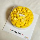 케이크가예쁘다 | 울산 수제 케이크 맛집 : 과일 듬뿍 망고 케이크 추천 [케이크가 예쁘다] 내돈내산