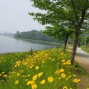 은파호수공원 이미지