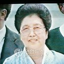 김성애