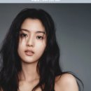 가족나무 이미지